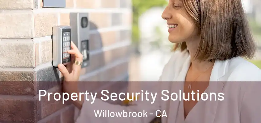 Property Security Solutions Willowbrook - CA